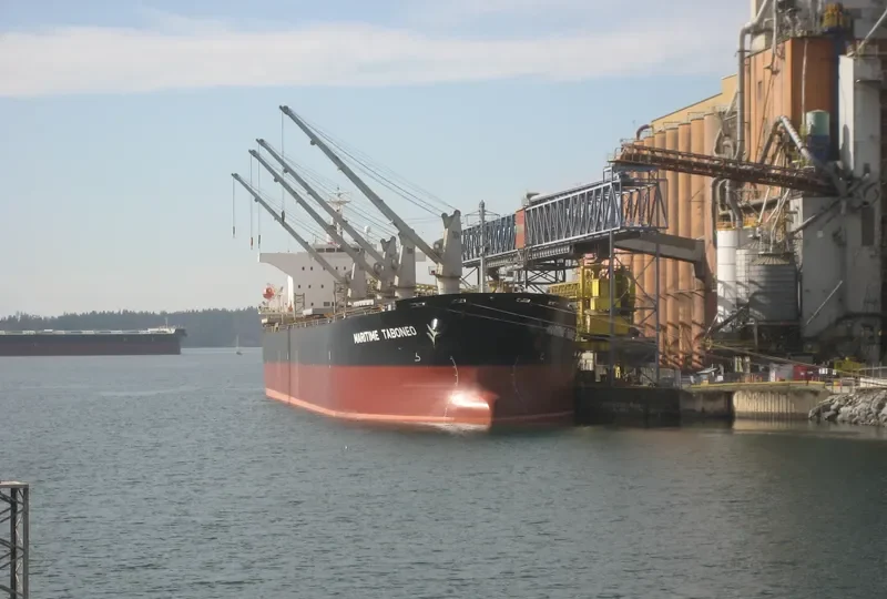 PEONY LAUT Bulk Carrier IMO 9286853 photo 5