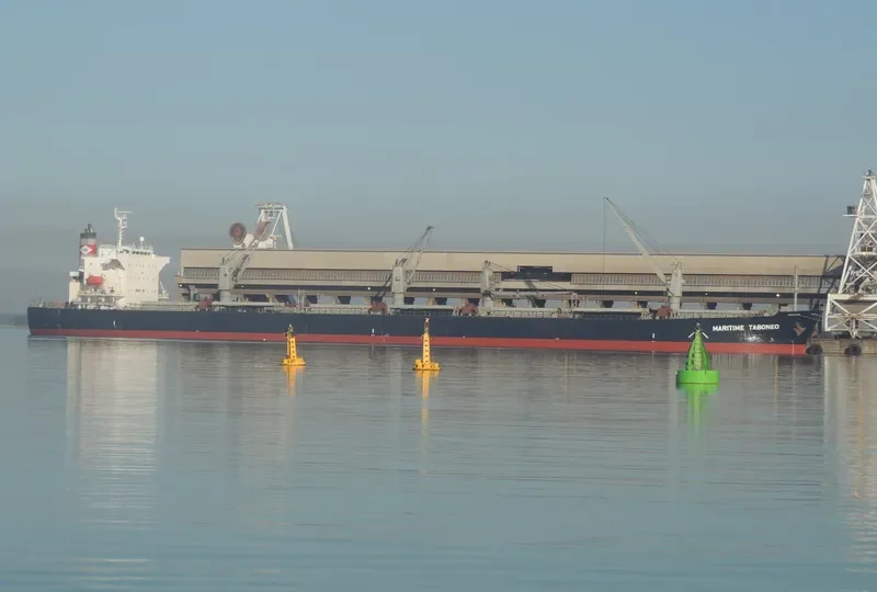 PEONY LAUT Bulk Carrier IMO 9286853 photo 7