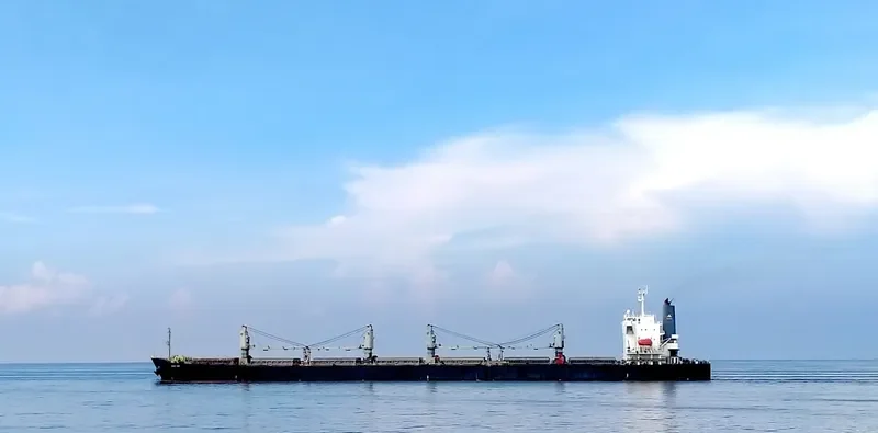 PEONY LAUT Bulk Carrier IMO 9286853 photo 10