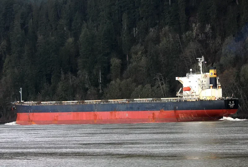 CHAILEASE GLORY Bulk Carrier IMO 9286889