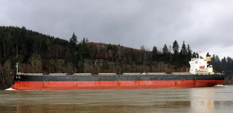 CHAILEASE GLORY Bulk Carrier IMO 9286889 photo 2