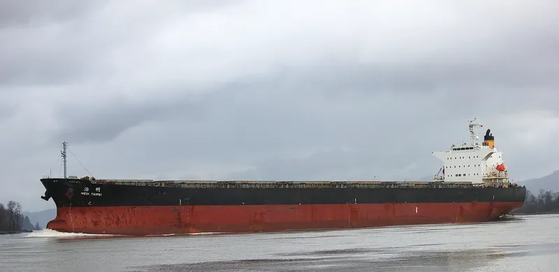CHAILEASE GLORY Bulk Carrier IMO 9286889 photo 3