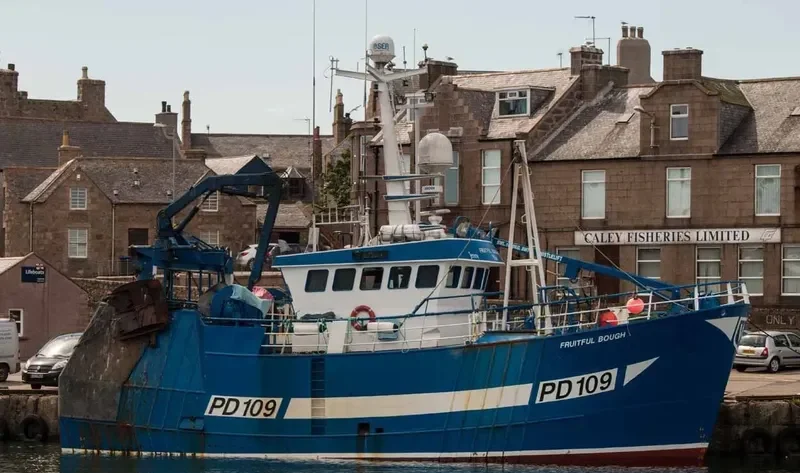 GRACIOUS PD 103 General Cargo IMO 9286891 photo 4
