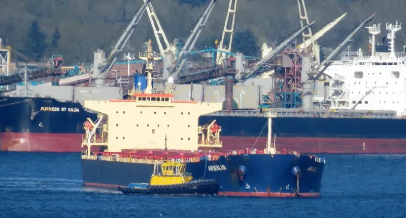 ARGOLIS Bulk Carrier IMO 9286970 photo 3