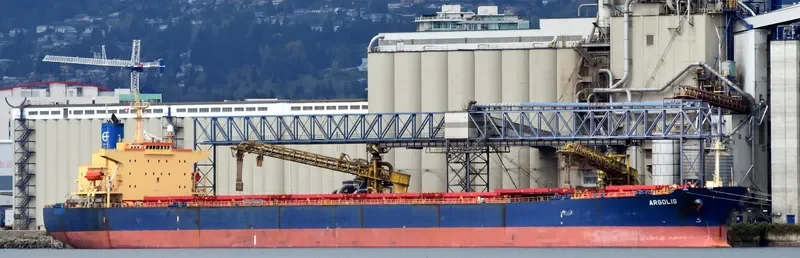 ARGOLIS Bulk Carrier IMO 9286970 photo 4