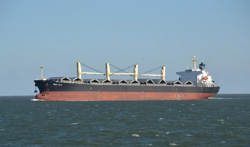 PACIFIC 08 Bulk Carrier IMO 9287144 photo 2