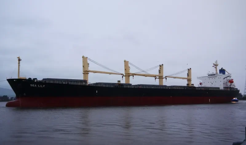 PACIFIC 08 Bulk Carrier IMO 9287144 photo 7