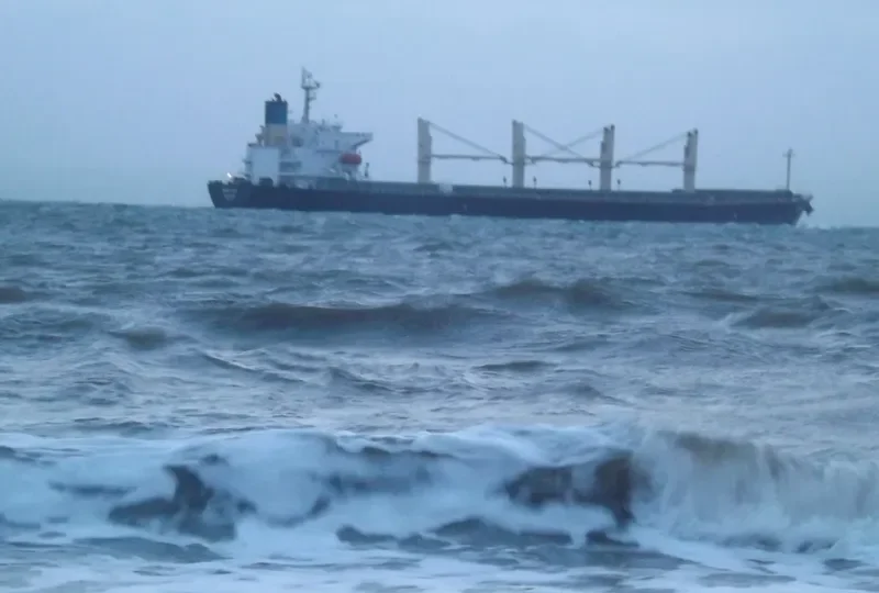 PACIFIC 08 Bulk Carrier IMO 9287144 photo 9