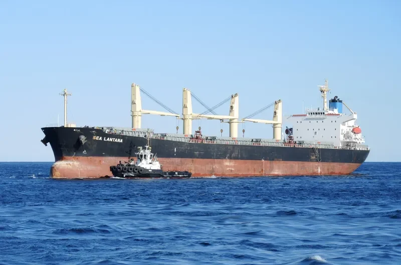 BEST GLORY Bulk Carrier IMO 9287156 photo 2