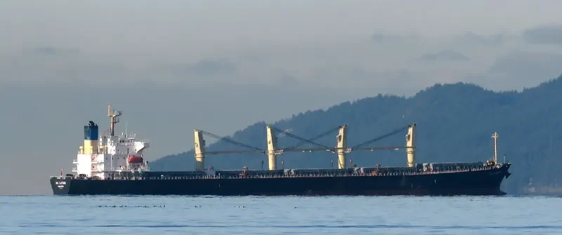 BEST GLORY Bulk Carrier IMO 9287156 photo 5