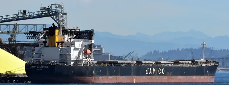 LUCKY LOONG Bulk Carrier IMO 9287168 photo 3