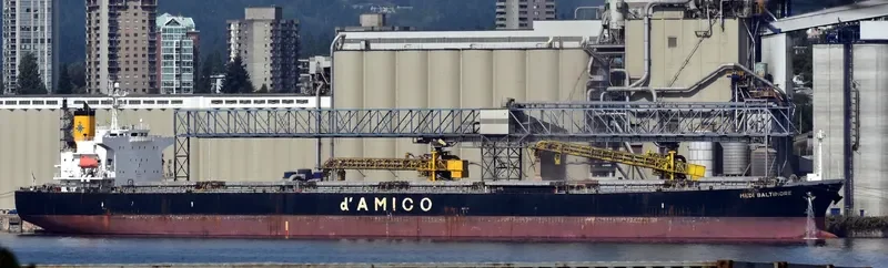 LUCKY LOONG Bulk Carrier IMO 9287168 photo 5