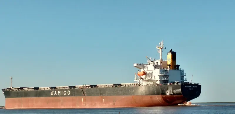 LUCKY LOONG Bulk Carrier IMO 9287168 photo 10