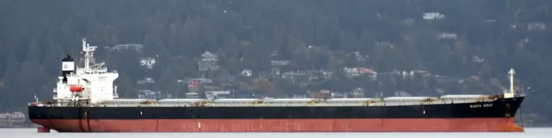 SANTA CRUZ Bulk Carrier IMO 9287170 photo 2
