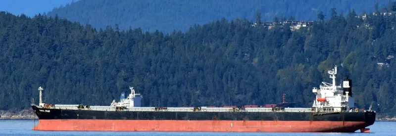 SANTA CRUZ Bulk Carrier IMO 9287170 photo 6