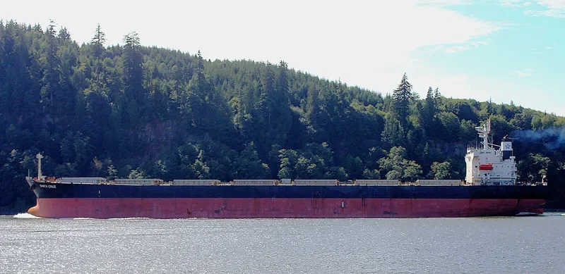 SANTA CRUZ Bulk Carrier IMO 9287170 photo 9