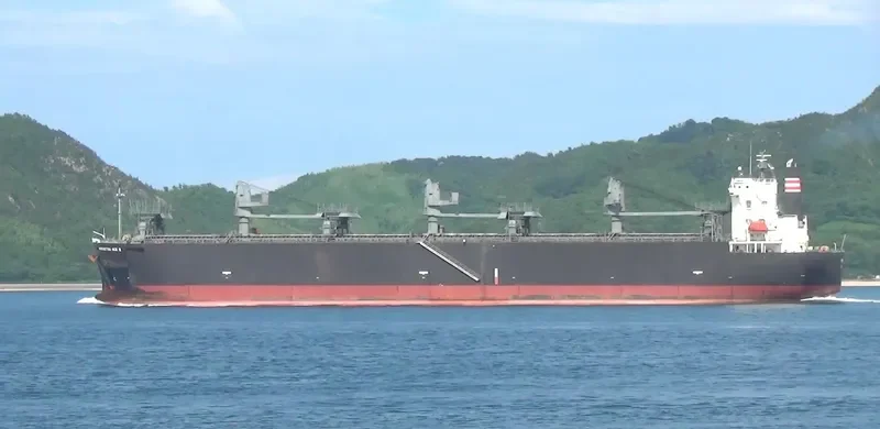 FP ACE III Bulk Carrier IMO 9287211
