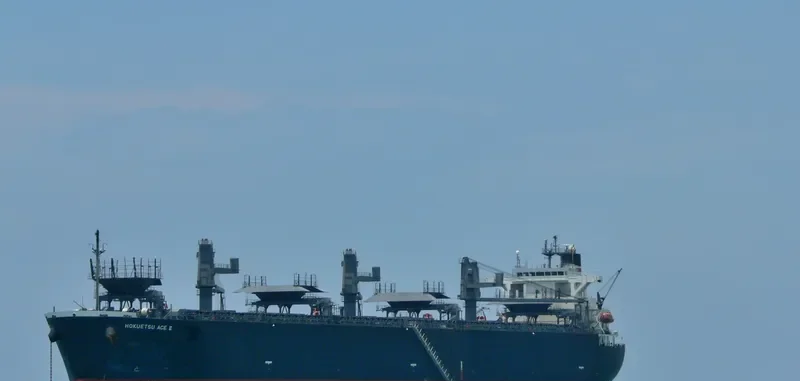 FP ACE III Bulk Carrier IMO 9287211 photo 9