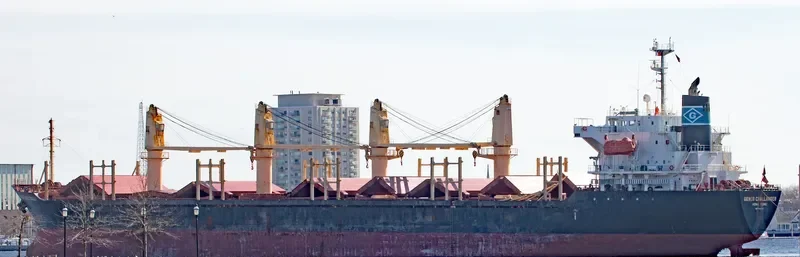 GOLDEN STAR Bulk Carrier IMO 9287429 photo 3