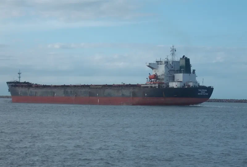 THE STRONG Bulk Carrier IMO 9287455 photo 3