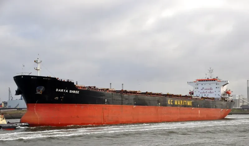 THE STRONG Bulk Carrier IMO 9287455 photo 5