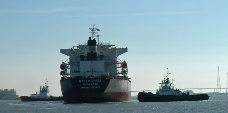 THE STRONG Bulk Carrier IMO 9287455 photo 8