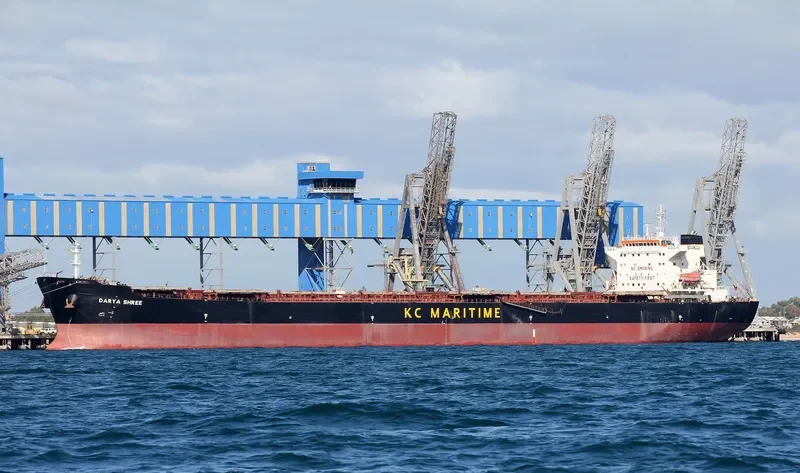 THE STRONG Bulk Carrier IMO 9287455 photo 9