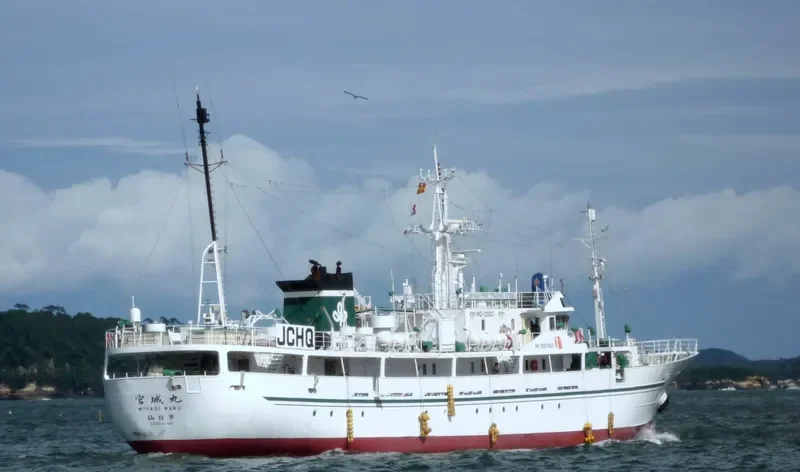 MIYAGI MARU General Cargo IMO 9287663 photo 6