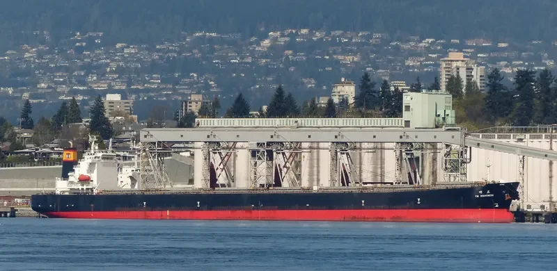 CHAILEASE BLOSSOM Bulk Carrier IMO 9287780 photo 6