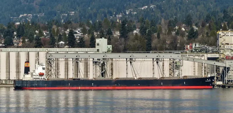 CHAILEASE BLOSSOM Bulk Carrier IMO 9287780 photo 10