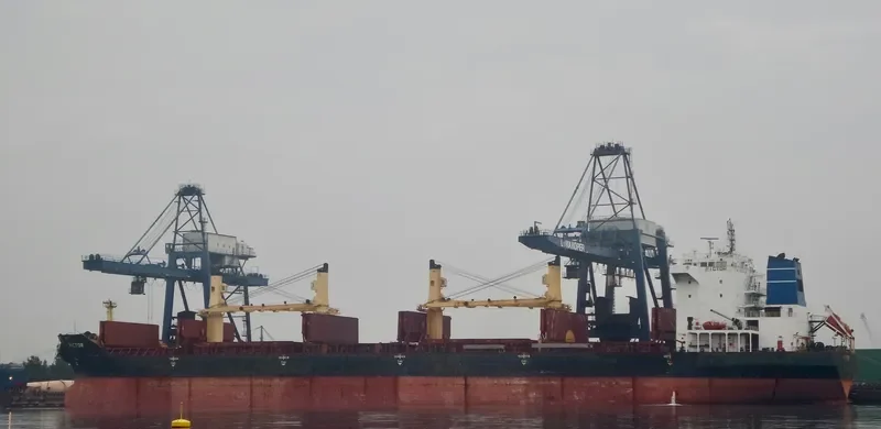 JIA XIANG DA Bulk Carrier IMO 9287962 photo 3