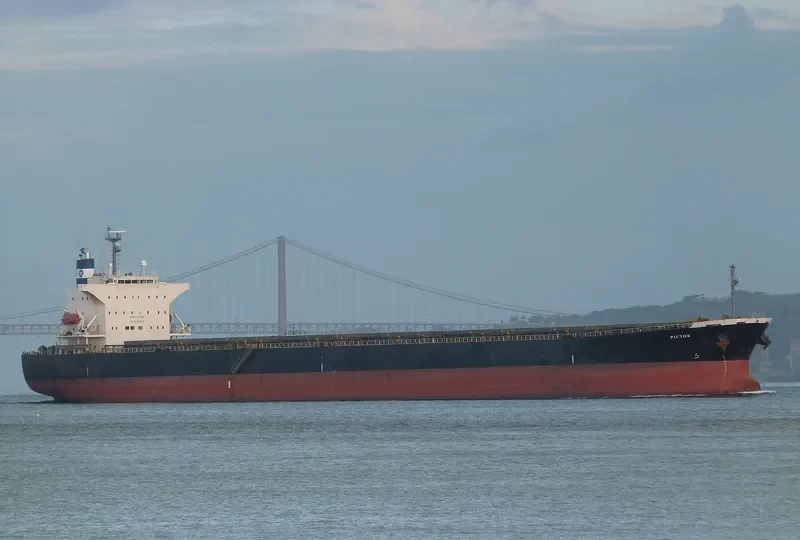 JIA XIANG DA Bulk Carrier IMO 9287962 photo 10