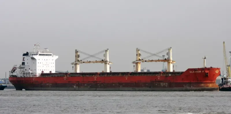 JIN MING 69 Bulk Carrier IMO 9287974 photo 2