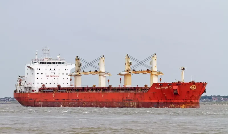 JIN MING 69 Bulk Carrier IMO 9287974 photo 4