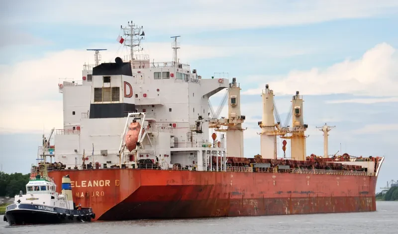 JIN MING 69 Bulk Carrier IMO 9287974 photo 5