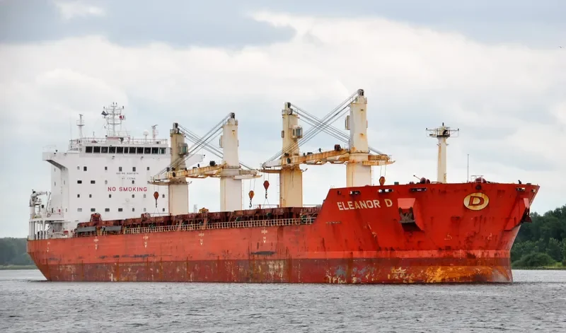 JIN MING 69 Bulk Carrier IMO 9287974 photo 6
