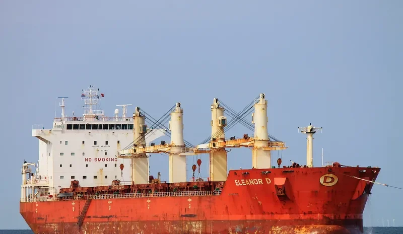 JIN MING 69 Bulk Carrier IMO 9287974 photo 8
