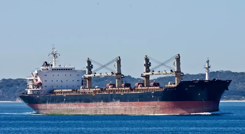 HONG LONG ZHI XING Bulk Carrier IMO 9287986 photo 3