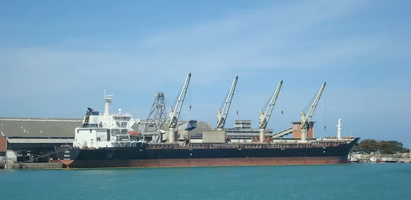 HONG LONG ZHI XING Bulk Carrier IMO 9287986 photo 5