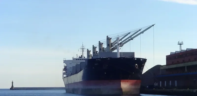 HONG LONG ZHI XING Bulk Carrier IMO 9287986 photo 7