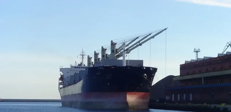 HONG LONG ZHI XING Bulk Carrier IMO 9287986 photo 8
