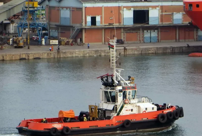 NYANGUMI II General Cargo IMO 9288124 photo 5
