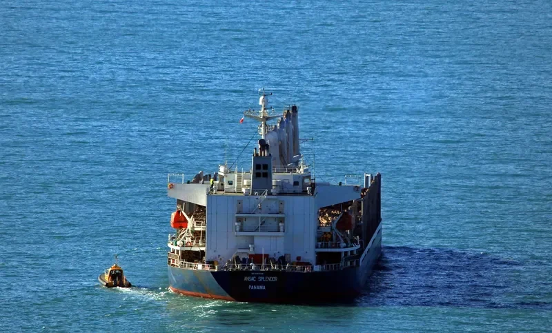 AC SPLENDOR Bulk Carrier IMO 9288239