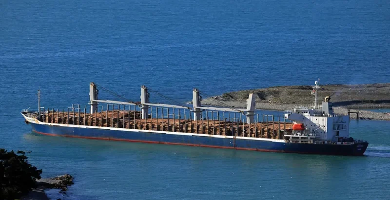 AC SPLENDOR Bulk Carrier IMO 9288239 photo 3