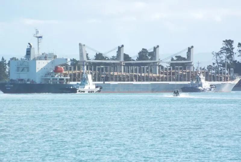 AC SPLENDOR Bulk Carrier IMO 9288239 photo 7