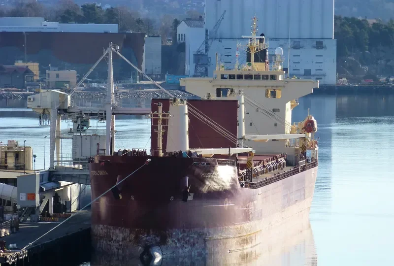 FEDERAL SAKURA Bulk Carrier IMO 9288291 photo 4