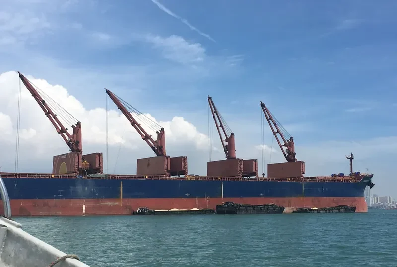 SEABOSS Bulk Carrier IMO 9288332 photo 2