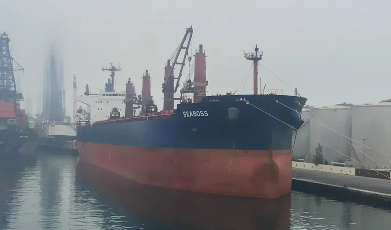 SEABOSS Bulk Carrier IMO 9288332 photo 3