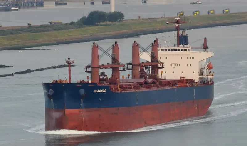 SEABOSS Bulk Carrier IMO 9288332 photo 6