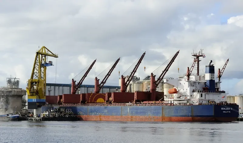 SEALUCK II Bulk Carrier IMO 9288344